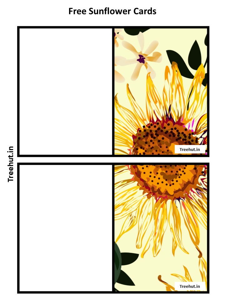 _Sunflower   #727\Freesunflowercards.Jpg