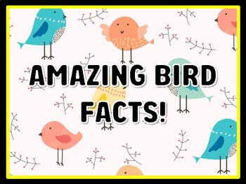 AMAZING BIRD FACTS! Birds Door Décor, Birds Bulletin Board Décor