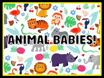 ANIMAL BABIES! Animals Door Décor, Animals Bulletin Board Décor Kit