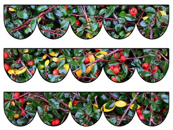 Berry Bulletin Board Decor Kit, Berry Letters