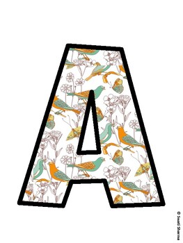 Birds Bulletin Board Decor Kit, Birds Bulletin Board Letters