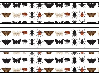 Bugs Bulletin Board Decor Kit, Bugs Letters