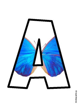 Butterflies Bulletin Board Décor Kit, Butterflies Bulletin Board Letters