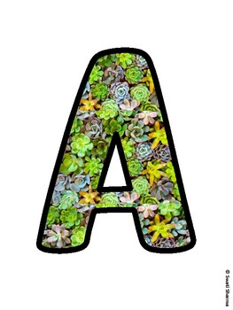 Cactus, Succulent Bulletin Board Letters, Succulent Alphabet Posters