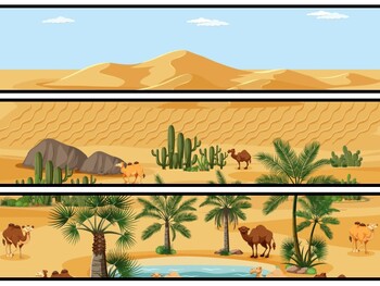 Desert Bulletin Board Decor Kit, Desert Letters