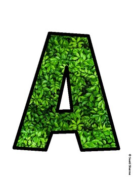 Earth Day Bulletin Board Décor Kit, Earth Day Bulletin Board Letters