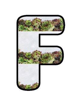 FAN-CACTUS MATH FACTS!, Cactus, Succulents Bulletin Board Decor