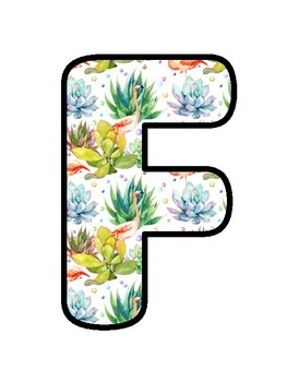 FAN-CACTUS MEMORIES!, Cactus, Succulent Bulletin Board Decor
