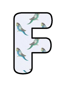 FLY INTO THE LIBRARY!, Birds Bulletin Board Decor, Birds Hallway Display, #75
