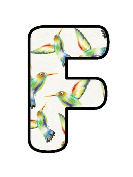 FLYING HIGH IN GRADE FIVE!, Birds Bulletin Board Decor