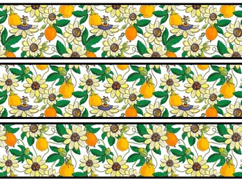 Fruits, Oranges Bulletin Board Decor Kit, Fruits, Oranges Letters