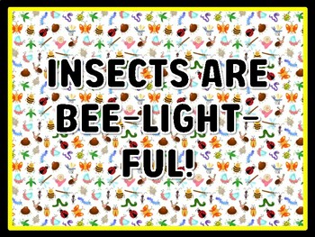 INSECTS ARE BEE-LIGHT-FUL! Bugs Door Décor, Bugs Bulletin Board Décor Kit, #22,