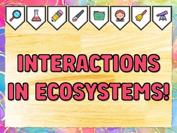 INTERACTIONS IN ECOSYSTEMS! Grade 2 Science Bulletin Board Decor Kit