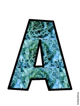 Kale Bulletin Board Décor Kit, Kale Bulletin Board Letters