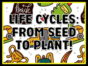 LIFE CYCLES: FROM SEED TO PLANT! Grade 3 Science Door Decor