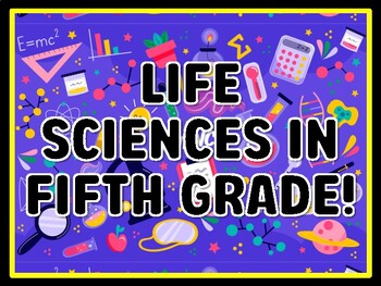 LIFE SCIENCES IN FIFTH GRADE! Grade 4 And 5 Science Door Decor