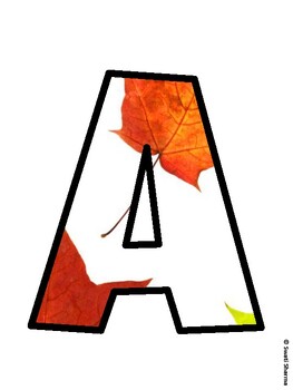 Leaves Bulletin Board Décor Kit