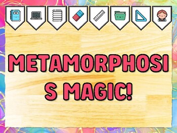 METAMORPHOSIS MAGIC! Grade 2 Science Bulletin Board Decor Kit