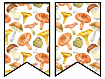 Mushroom Bulletin Board Decor Kit, Mushroom Letters
