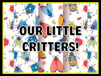 OUR LITTLE CRITTERS! Bugs Door Décor, Bugs Bulletin Board Décor Kit, #30, Bugs