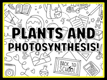 PLANTS AND PHOTOSYNTHESIS! Grade 3 Science Door Decor