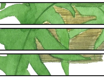 Plants Bulletin Board Decor Kit, Plants Letters