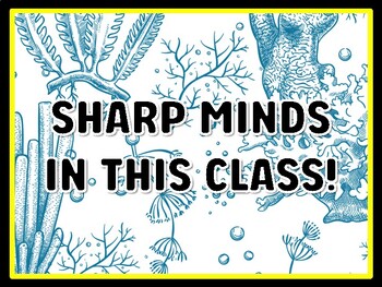 SHARP MINDS IN THIS CLASS! Succulents Door Décor