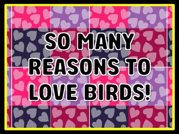 SO MANY REASONS TO LOVE BIRDS! Valentine's Day Door Décor, Valentine's Day Bu