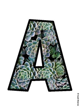 Succulents Bulletin Board Decor Kit, Succulents Bulletin Board Letters