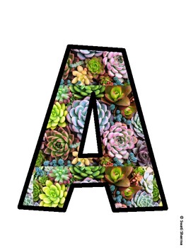 Succulents Bulletin Board Décor Kit, Succulents Bulletin Board Letters