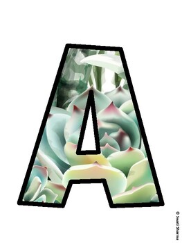 Succulents Bulletin Board Décor Kit, Succulents Bulletin Board Letters