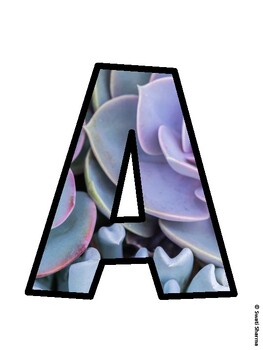 Succulents Bulletin Board Décor Kit, Succulents Bulletin Board Letters