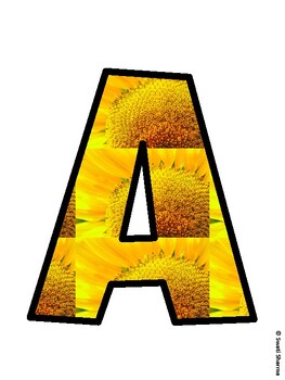 Sunflower Bulletin Board Décor Kit, Sunflower Bulletin Board Letters