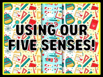 USING OUR FIVE SENSES! Grade 1 Science Door Decor