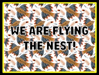 WE ARE FLYING THE NEST! Birds Door Décor, Birds Bulletin Board Décor