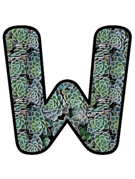 WE'RE SUCCAS FOR FITNESS!, Cactus, Succulents Bulletin Board Decor