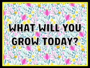 WHAT WILL YOU GROW TODAY? Spring Door Décor, Spring Bulletin Board Décor Kit