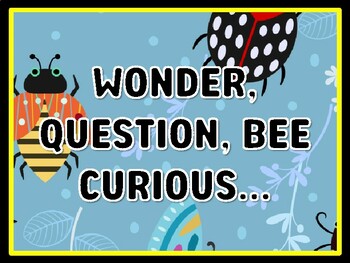 WONDER, QUESTION, BEE CURIOUS... Bugs Door Décor, Bugs Bulletin Board Décor K