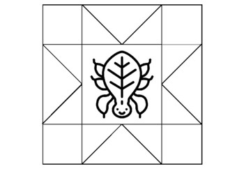 50 Insects Bugs, Classroom Quilt, Coloring Pages