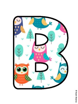 BE A WISE LEARNER! Owl Bulletin Board Letters