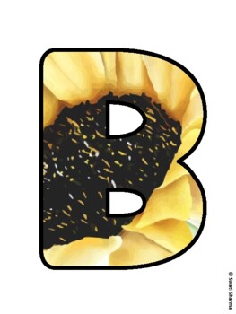 BEE AMAZING! Sunflower Bulletin Board Letters