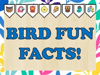 Birds Bulletin Board Kit & Door Décor, BIRD FUN FACTS!