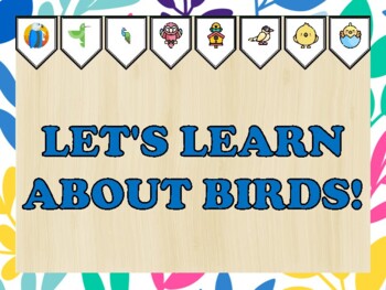 Birds Bulletin Board Kit & Door Décor, LET'S LEARN ABOUT BIRDS!