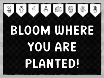 BLOOM WHERE YOU ARE PLANTED! Cactus Succulents Theme Bulletin Board Kit, Door