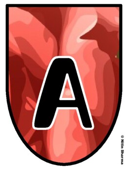 Bulletin Board Letters, Pennant Banner, Alphabet Posters, Back To School