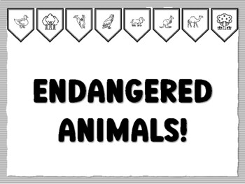 ENDANGERED ANIMALS! Jungle Bulletin Board Kit