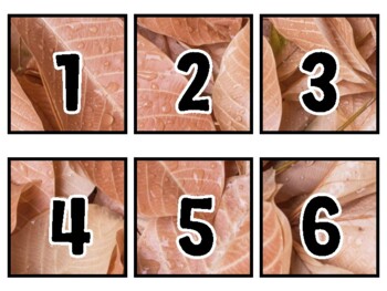 Fall Classroom Calendar Set