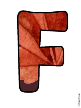 FALLING FOR OUR LIBRARY! Fall Leaves Bulletin Board Letters
