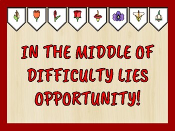 Growth Mindset Bulletin Board Kit & Door Décor, IN THE MIDDLE OF DIFFICULTY...