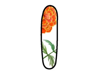 IN GRADE 1, I HAVE LEARNED Spring Bulletin Board Letters
